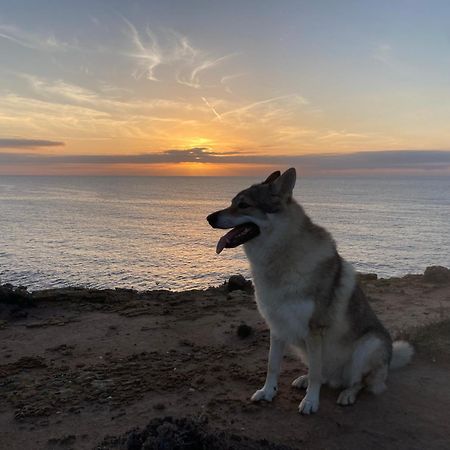 Villa Del Lupo Santa Maria la Palma Eksteriør bilde