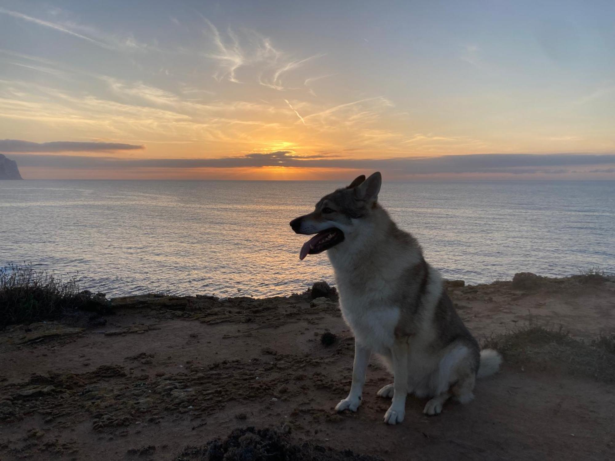 Villa Del Lupo Santa Maria la Palma Eksteriør bilde