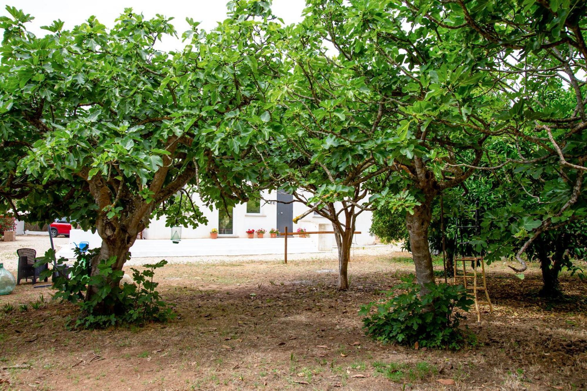 Villa Del Lupo Santa Maria la Palma Eksteriør bilde