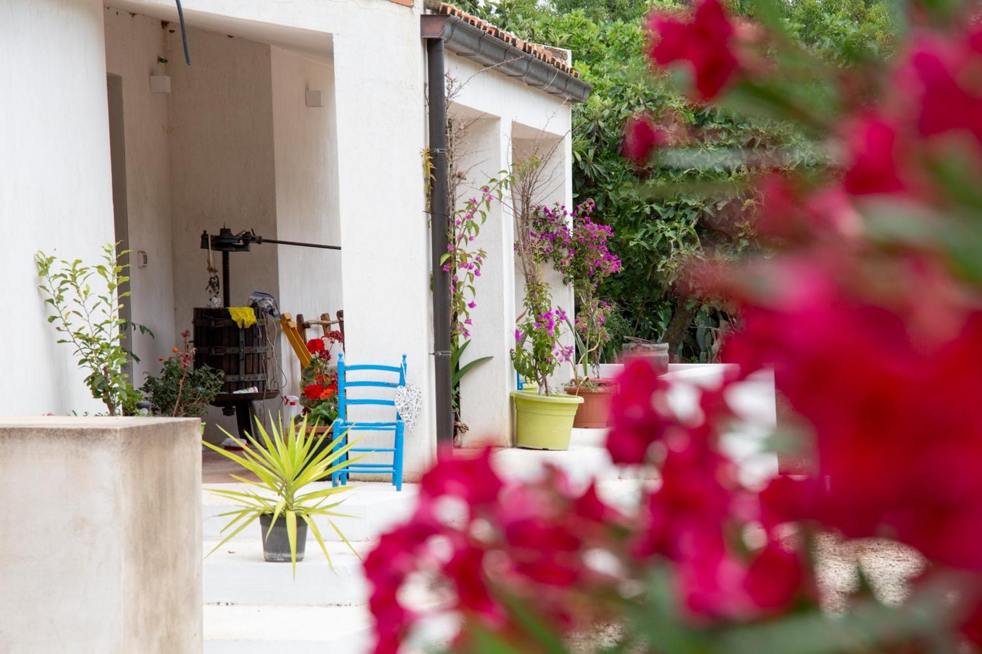 Villa Del Lupo Santa Maria la Palma Eksteriør bilde