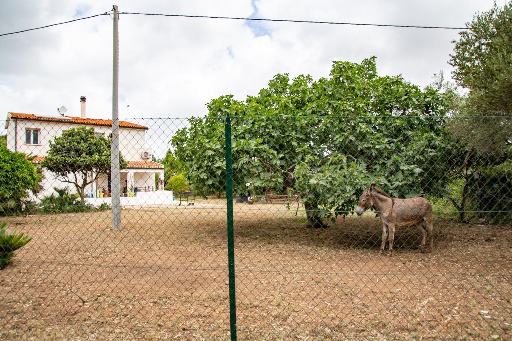 Villa Del Lupo Santa Maria la Palma Eksteriør bilde